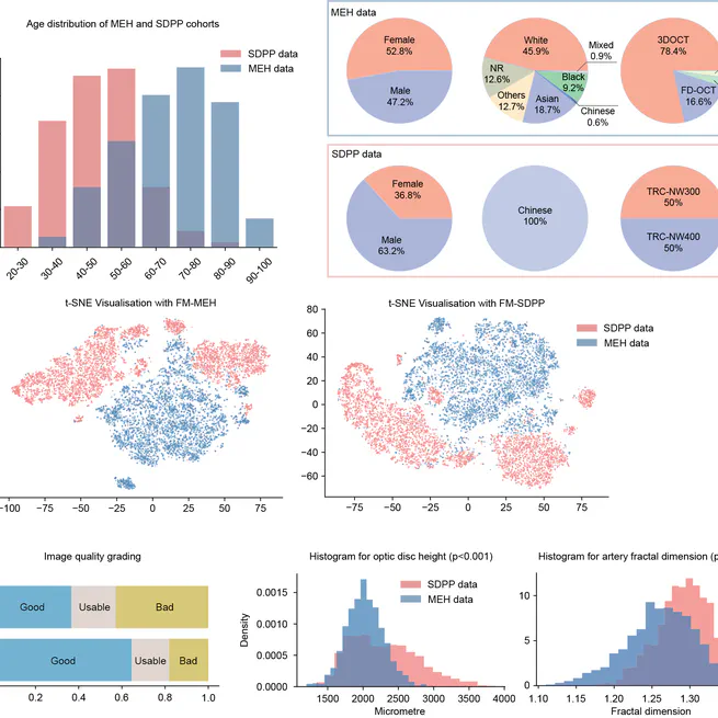 Revealing the Impact of Pre-training Data on Medical Foundation Models